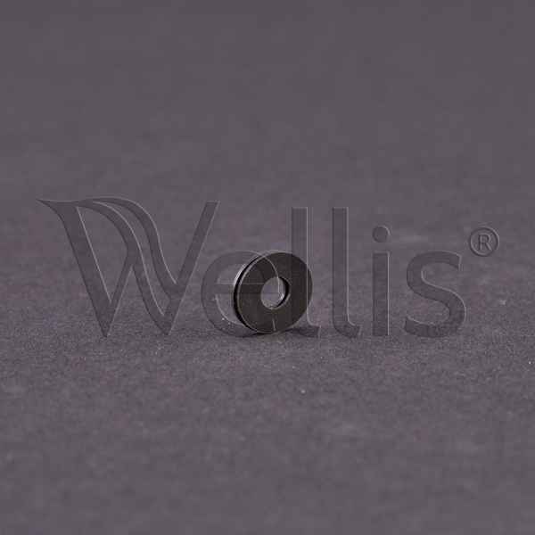 Joint pour injecteur d’ozone Wellisparts