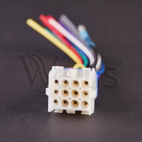 Aquatic Head Unit Anschluß Wellisparts