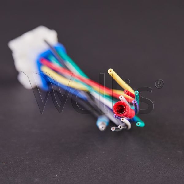 Aquatic Head Unit Anschluß Wellisparts 2