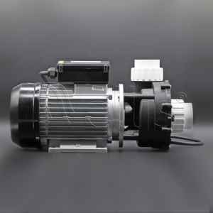 Motor 50Hz hidro 1050W (WP150-II) Wellisparts 2 Motor 50Hz hidro 1050W (WP150-II) Wellisparts 2
