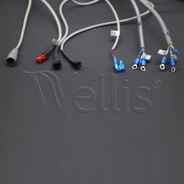 Boîtier de commande E-Plus V2 Wellisparts 4 Boîtier de commande E-Plus V2 Wellisparts 4