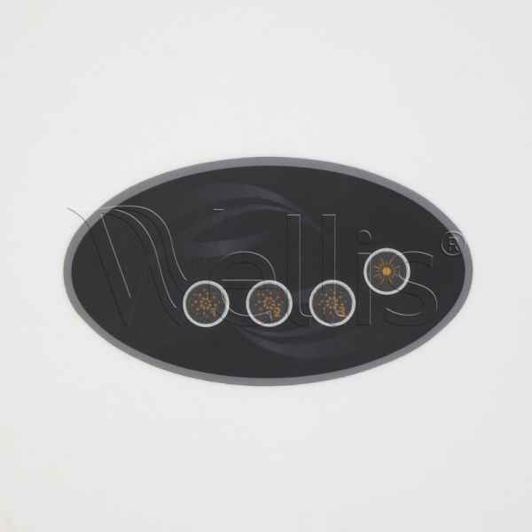 Autocollant pour clavier AUX 4 butons Wellisparts