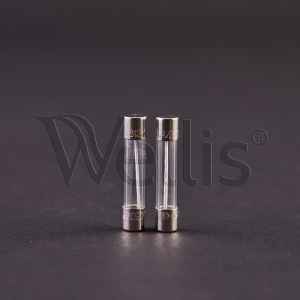 Sicherung, 20A, 500V, für In.Y und In.X Gecko Steuerungen Wellisparts Sicherung, 20A, 500V, für In.Y und In.X Gecko Steuerungen Wellisparts