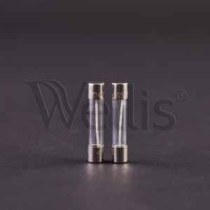 Fusible 250mA, 250V In.Y & In.X Gecko boîtier de commande