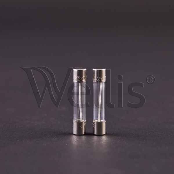 Fusible 250mA, 250V In.Y & In.X Gecko boîtier de commande Wellisparts