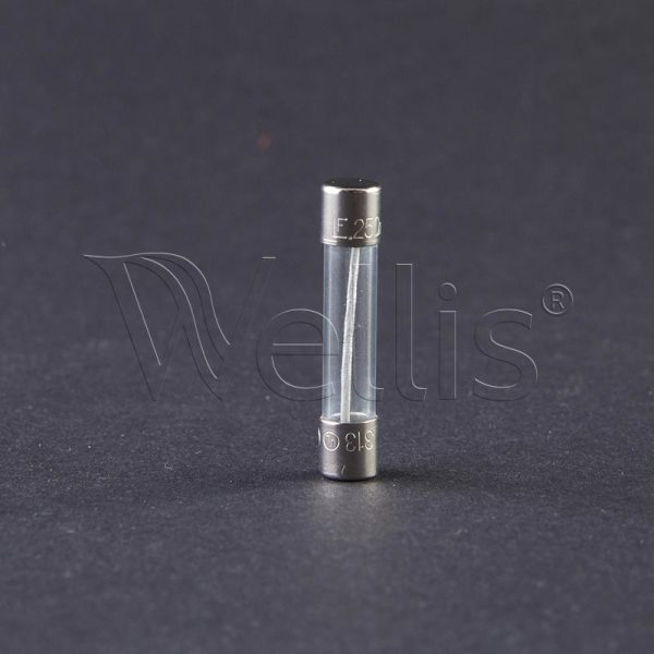 Fusible 250mA, 250V In.Y & In.X Gecko boîtier de commande Wellisparts 2