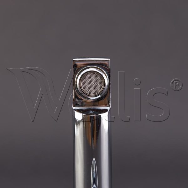 Beömlő Leila Wellisparts 4