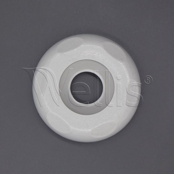 Dachgewinde RD 2″ für Wasserlenkung hellgrau Wellisparts 2