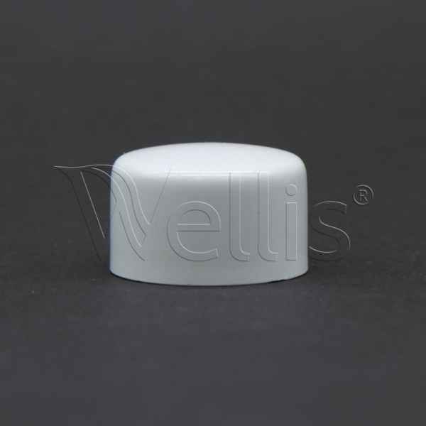 Plug 25,4mm Wellisparts