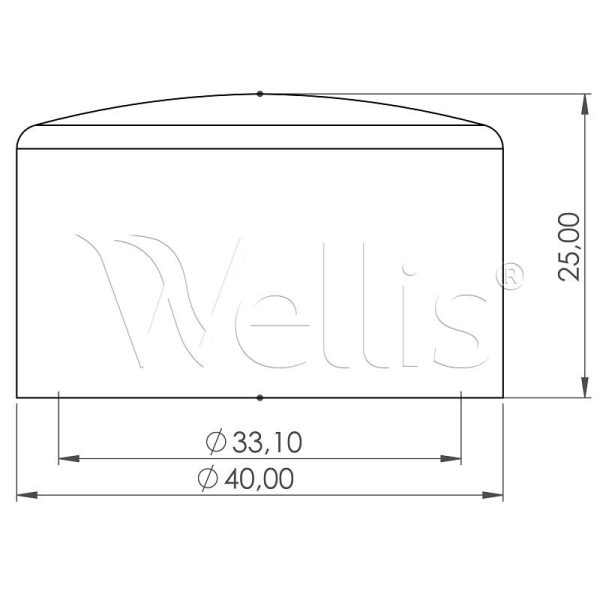 Plug 25,4mm Wellisparts 3