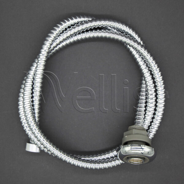 Boyau douche flexible chrome + embout Wellisparts