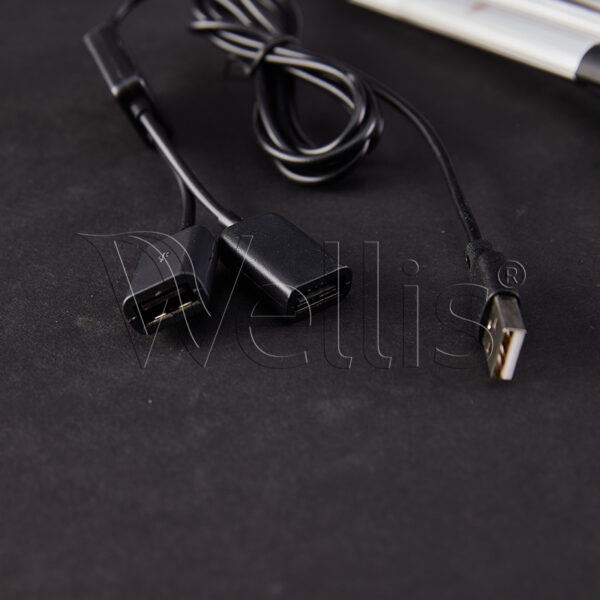 Elektronik für SmartStep Wellisparts 2